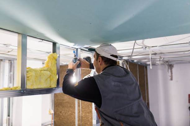 Best Specialized Insulation Services in China Spring, TX
